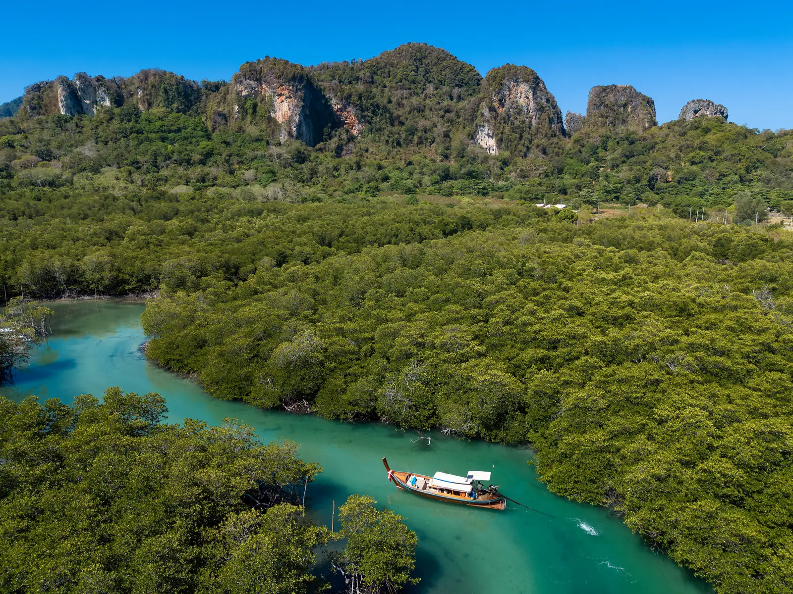 Longtail boats